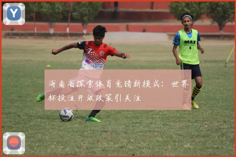 海南省探索体育竞猜新模式：世界杯投注开放政策引关注