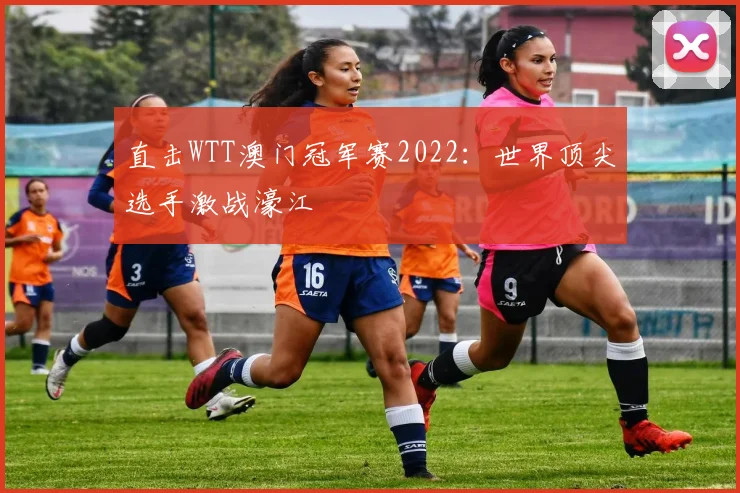 直击WTT澳门冠军赛2022：世界顶尖选手激战濠江