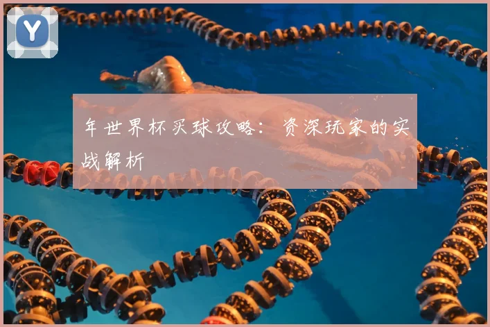 年世界杯买球攻略:资深玩家的实战解析