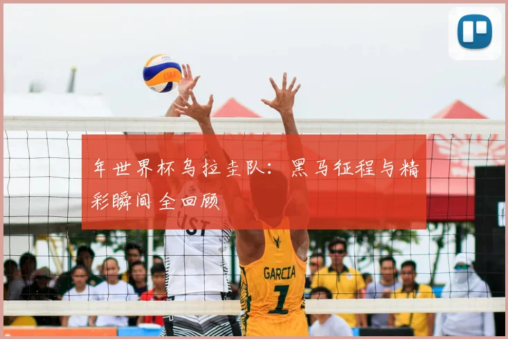 年世界杯乌拉圭队:黑马征程与精彩瞬间全回顾